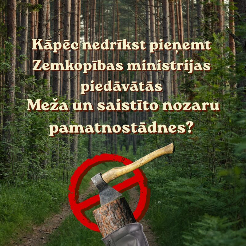 Kāpēc nedrīkst pieņemt Zemkopības ministrijas piedāvātās Meža un saistīto nozaru pamatnostādnes?