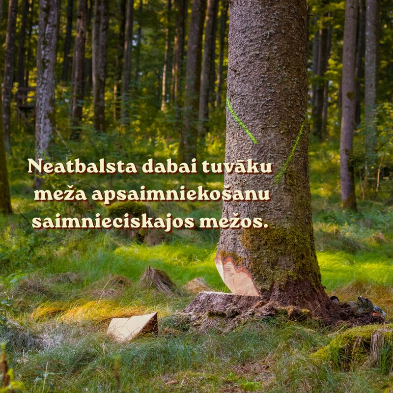 Neatbalsta dabai tuvāku meža apsaimniekošanu saimnieciskajos mežos.