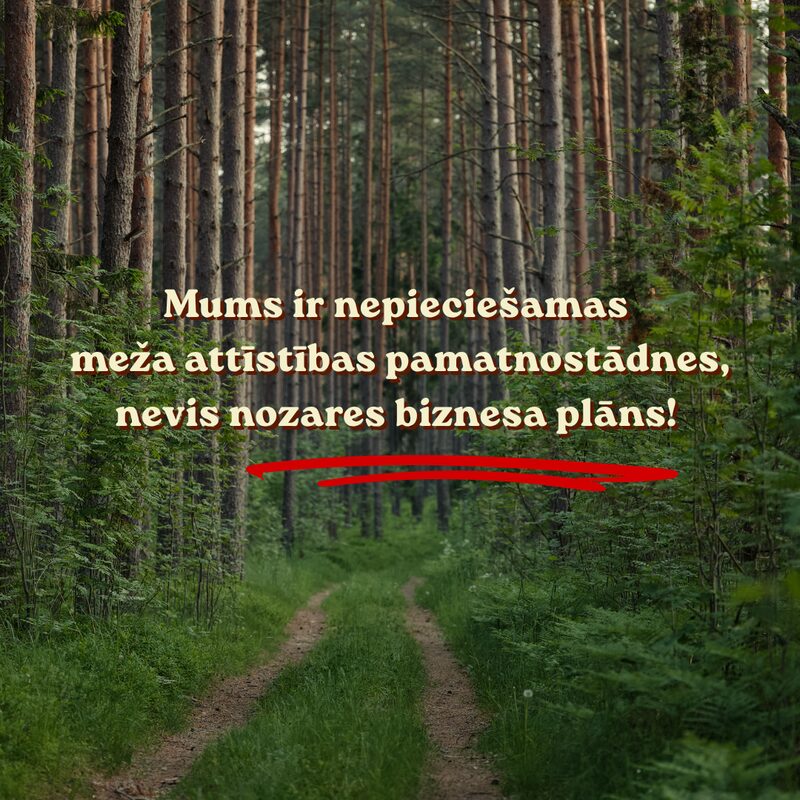 Mums ir nepieciešamas meža attīstības pamatnostādnes, nevis nozares biznesa plāns!